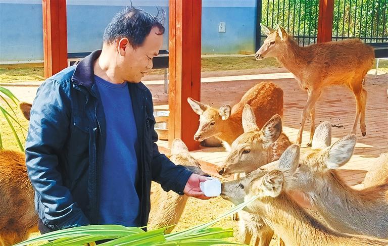 展产业调研】林下生金不朽情缘【高质量发(图3) 展产业调研】林下生金不朽情缘【高质量发(图3)